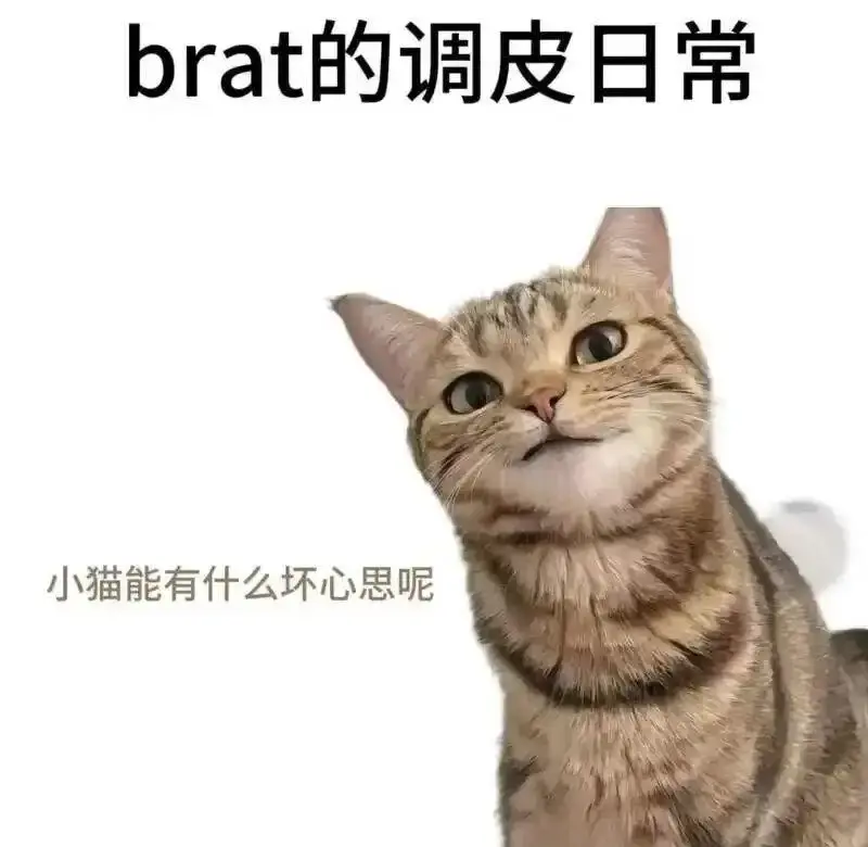 西檬之家-DS关系是什么？Understanding字母圈DS关系和核心术语