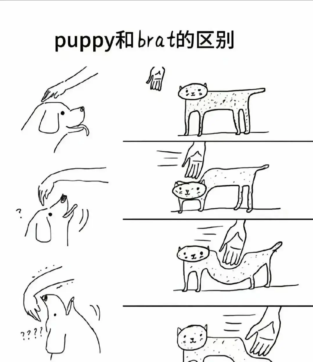 西檬之家-月亮节BDSM字母圈实践全攻略