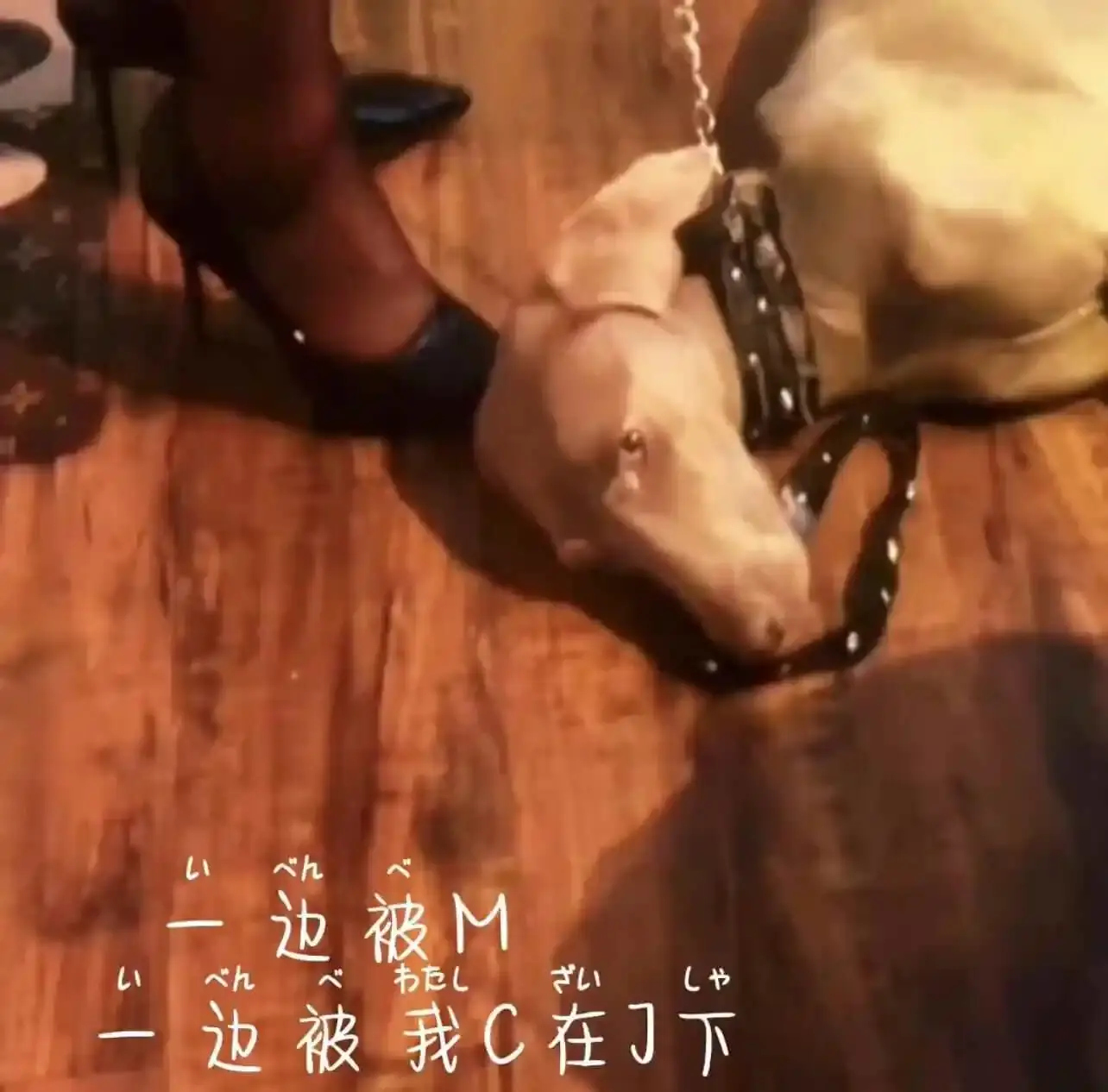 西檬之家-OTK是什么？字母圈新人入圈指南