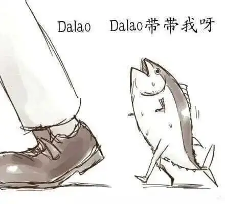 西檬之家-K8猫系是什么？你的字母圈属性是什么？