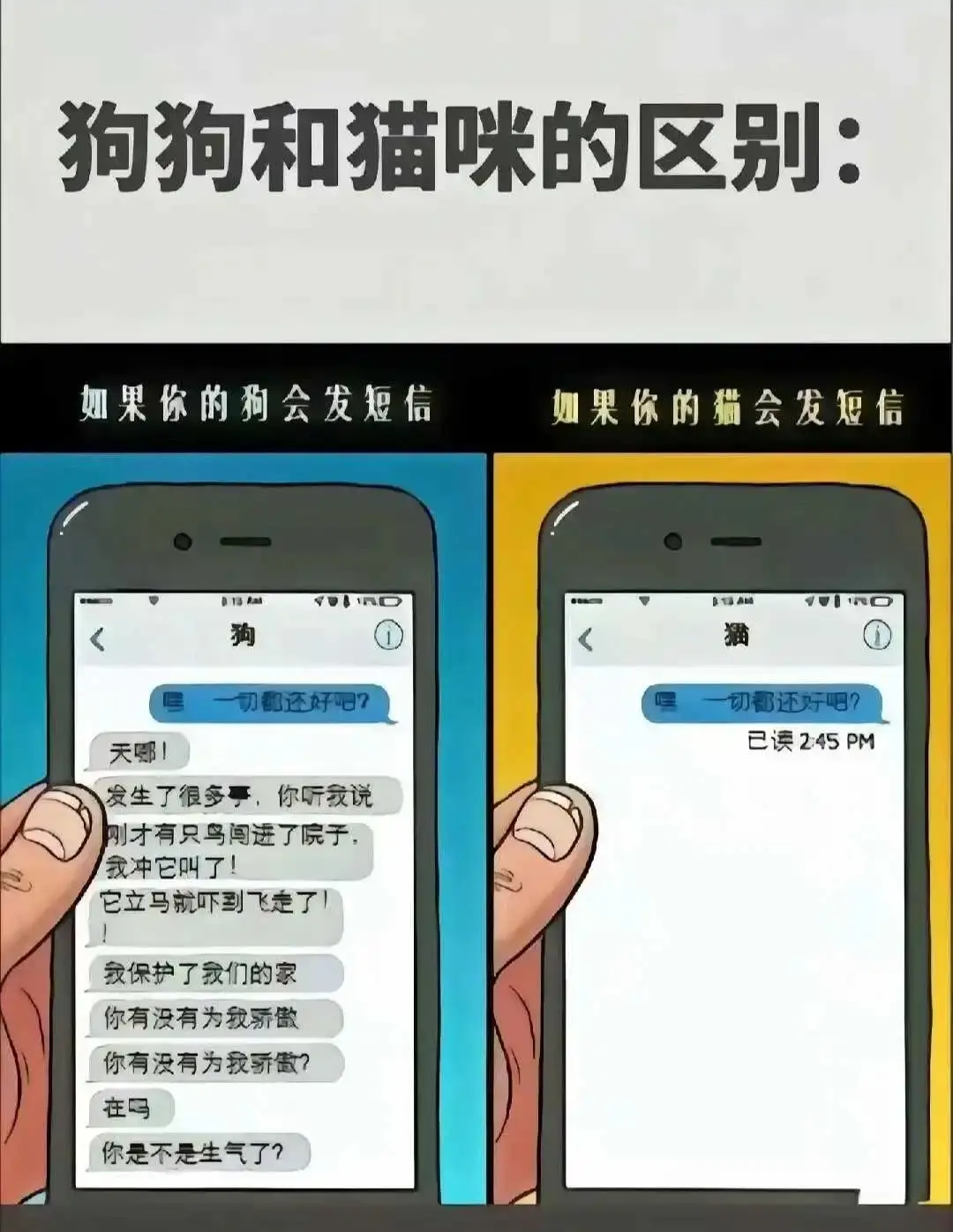 西檬之家-BDSM新手指南：从术语到SSC原则的入圈科普