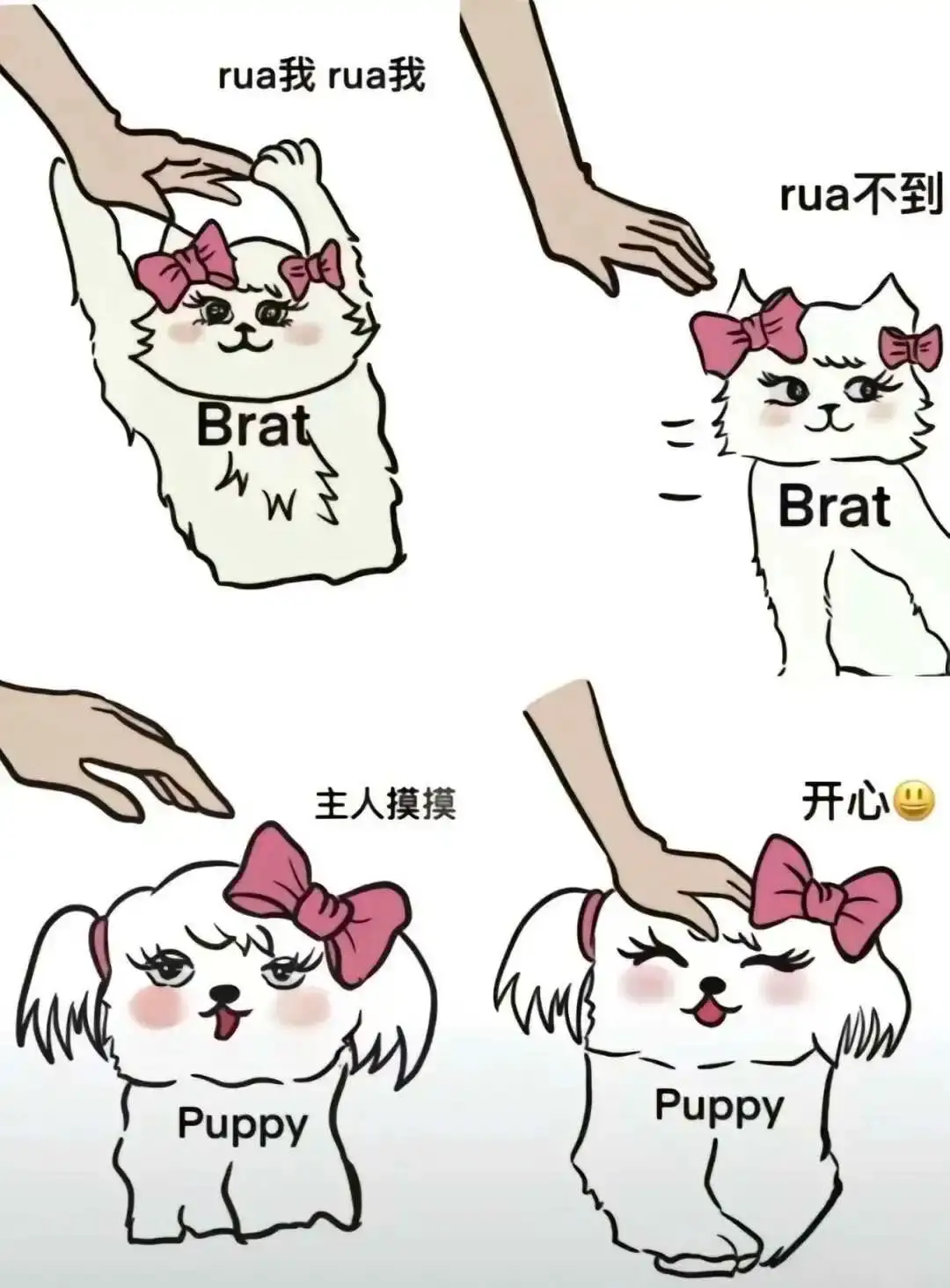 西檬之家-BDSM是什么？字母圈新人入圈指南（含术语表）