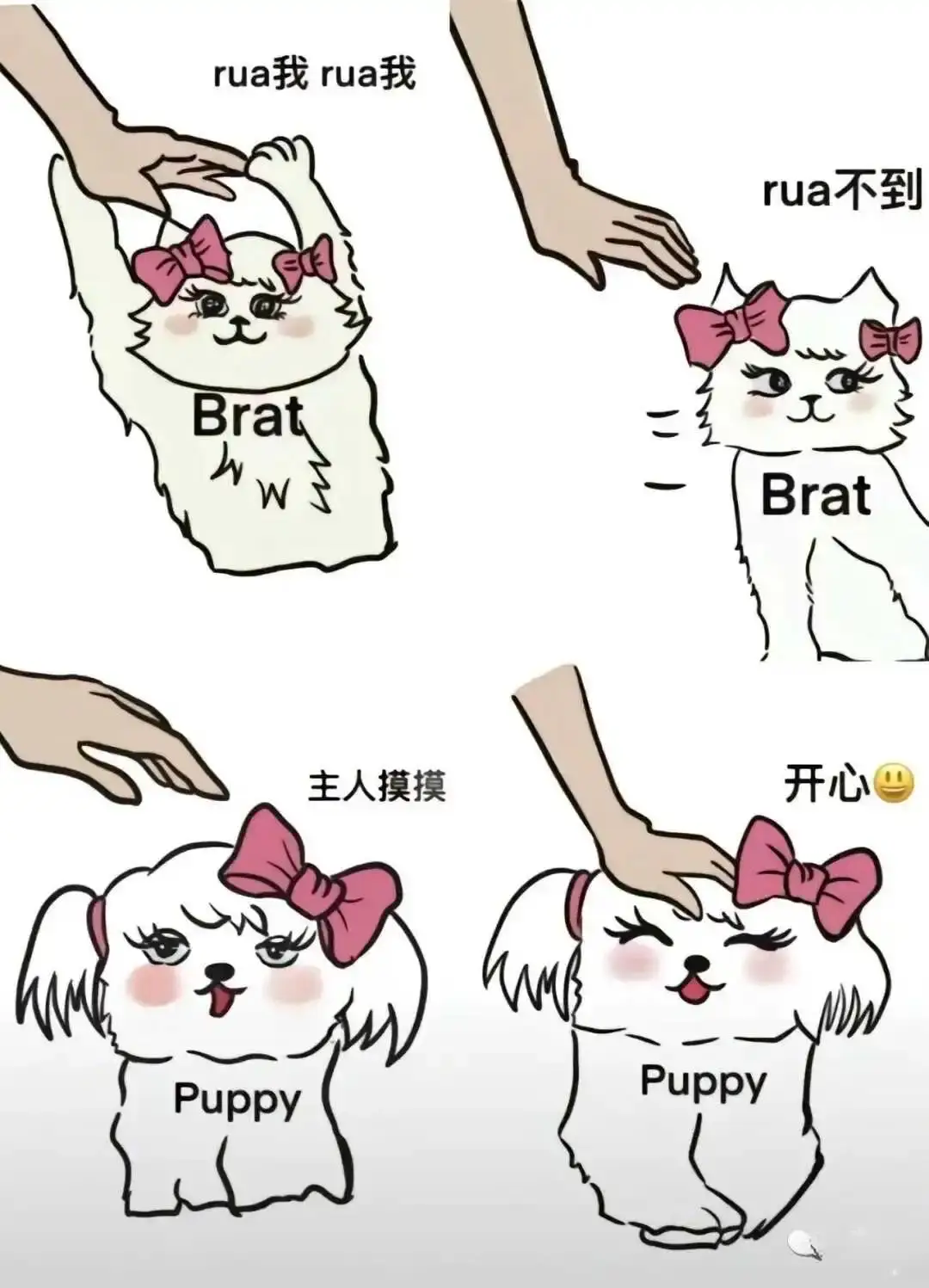 【西檬之家】圣水是什么？字母圈Wink文化深度解析